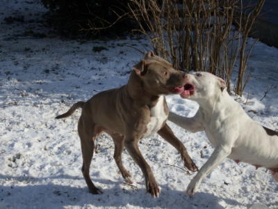 gypsy helping king get out of heat